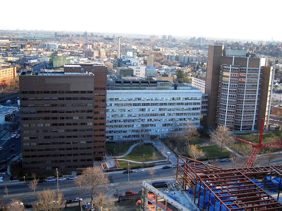 Albert Einstein College of Medicine and Mercy College