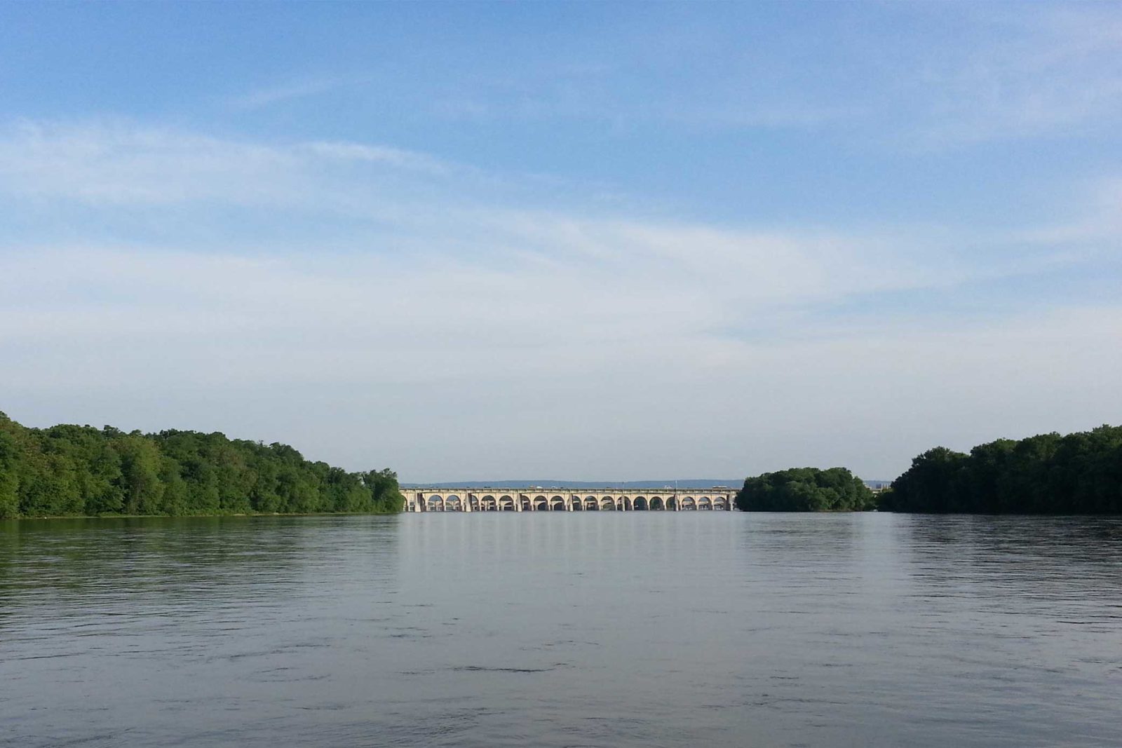 a body of water with trees around it