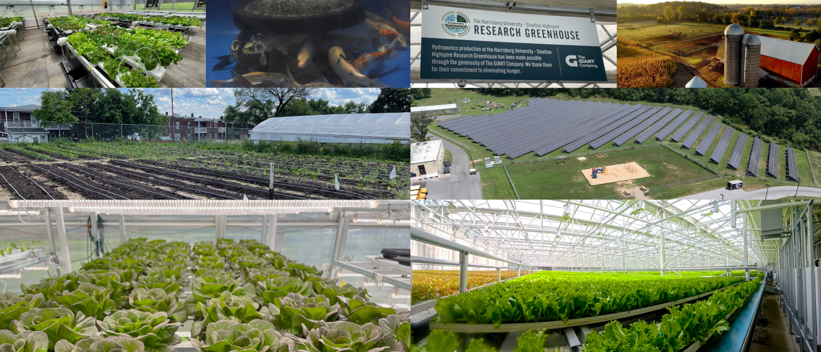 Green Careers Discovery Day: Explore Agriculture, Aquaponics, Solar Power, and More