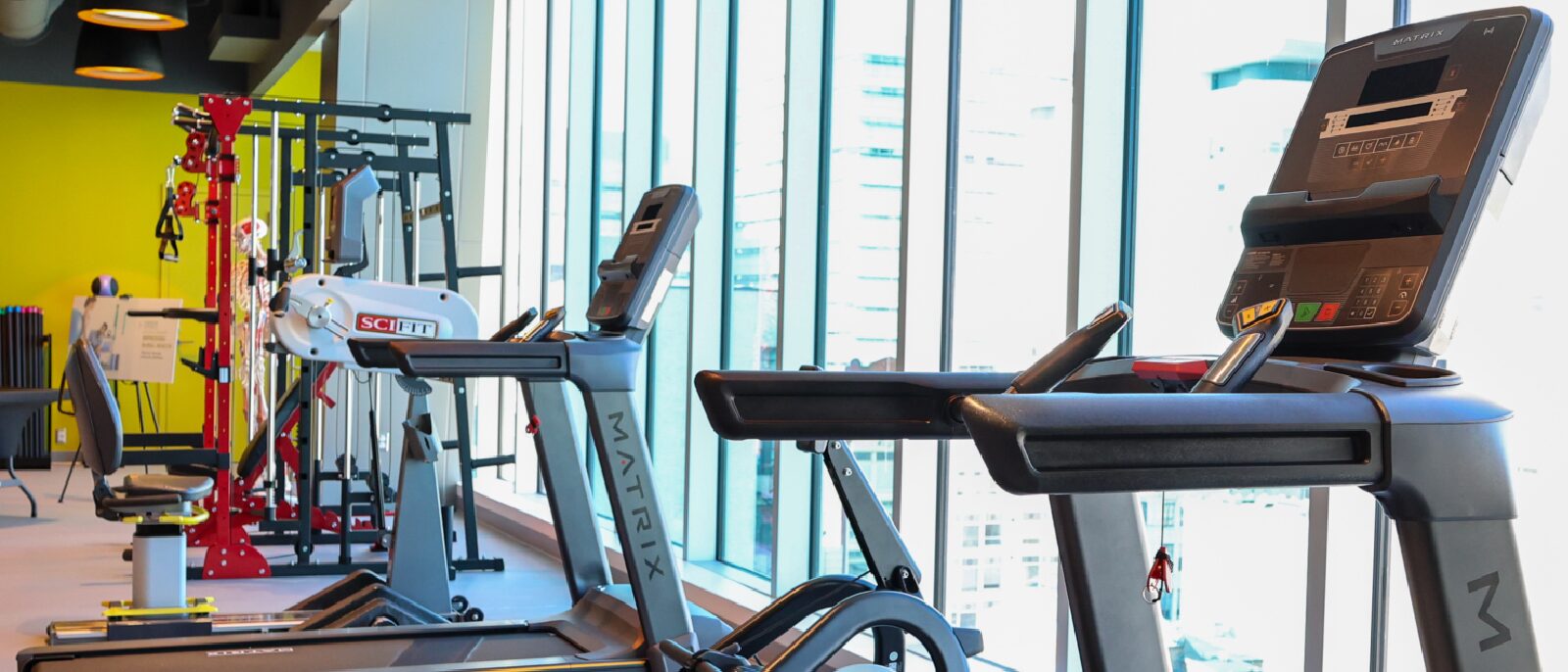 Harrisburg University and Susquehanna University Create New Doctor of Physical Therapy Pathways