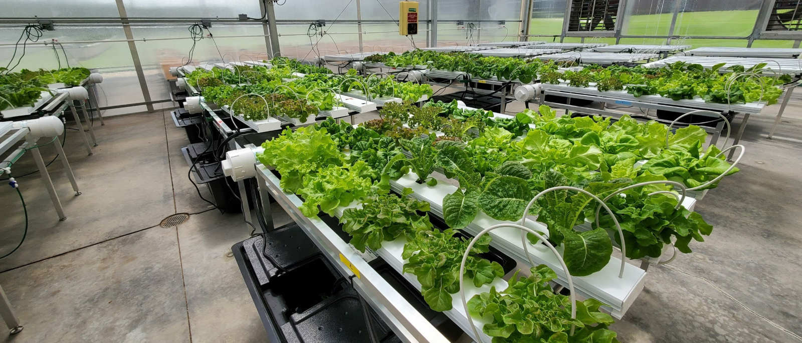 Harrisburg University and Phoenix Contact to Debut “Growing Tomorrow” Documentary on Nov. 21