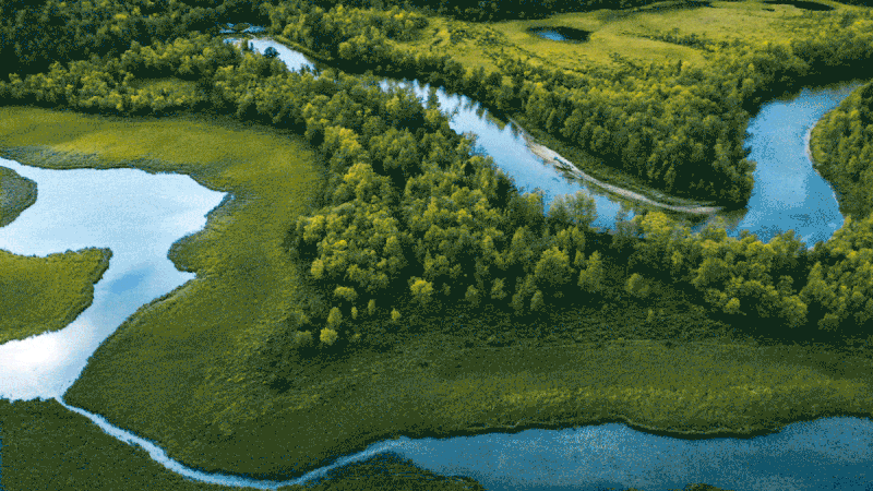 Are NFTs back for the Environment