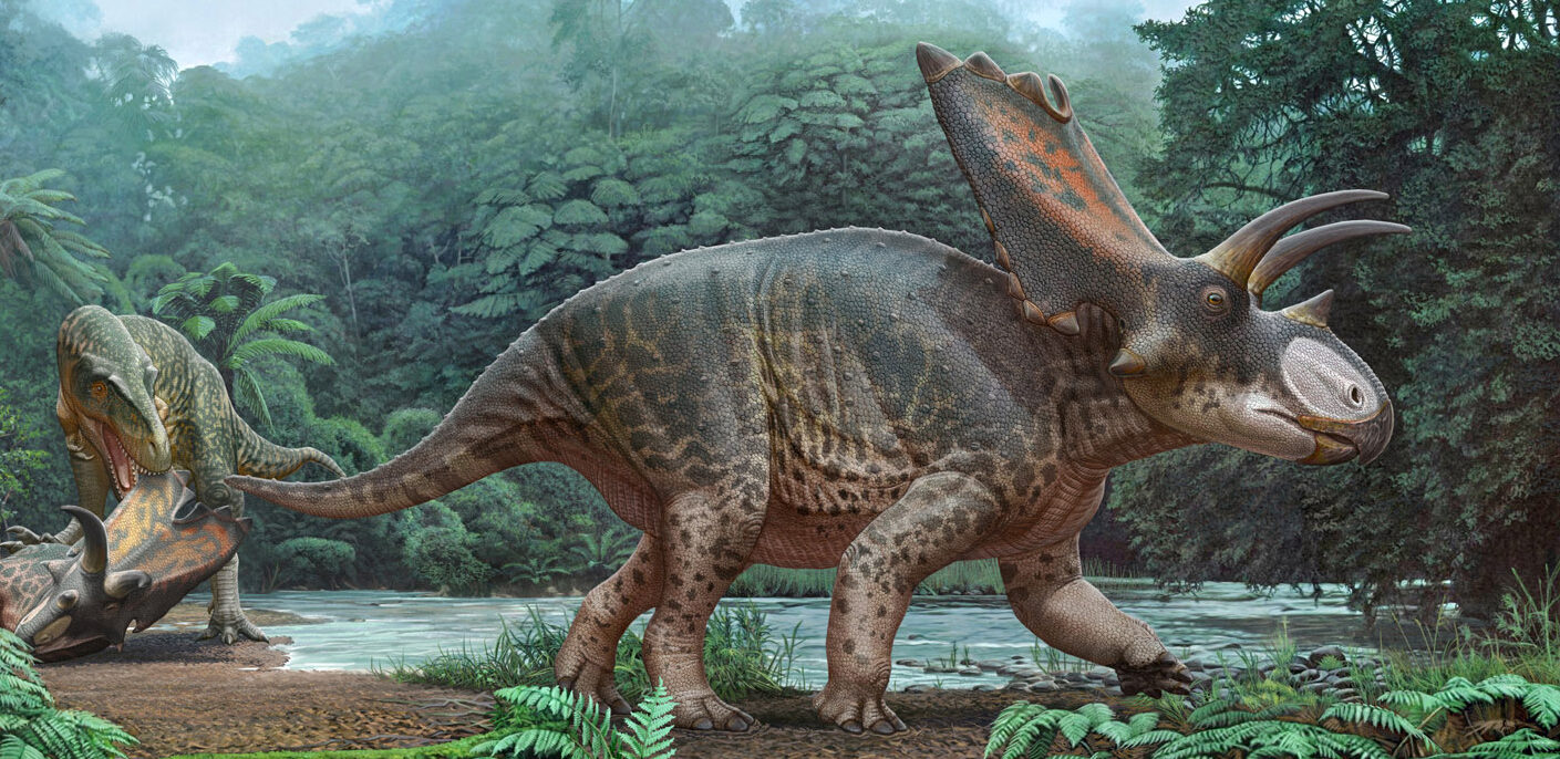 HU professor helps name, describe new horned dinosaur from American Southwest