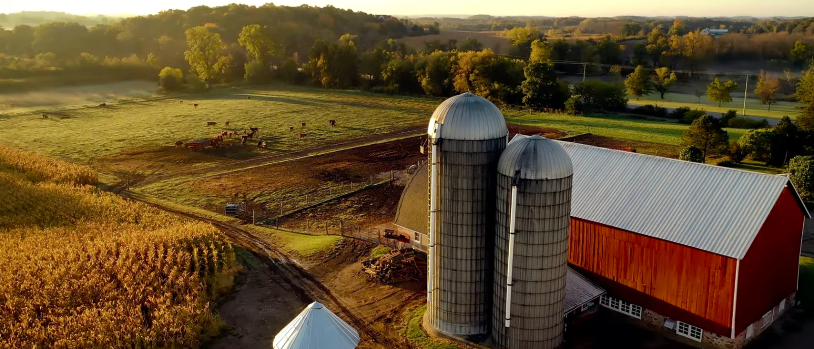 “Growing Tomorrow” and the Powerful Promise of Controlled Environment Agriculture