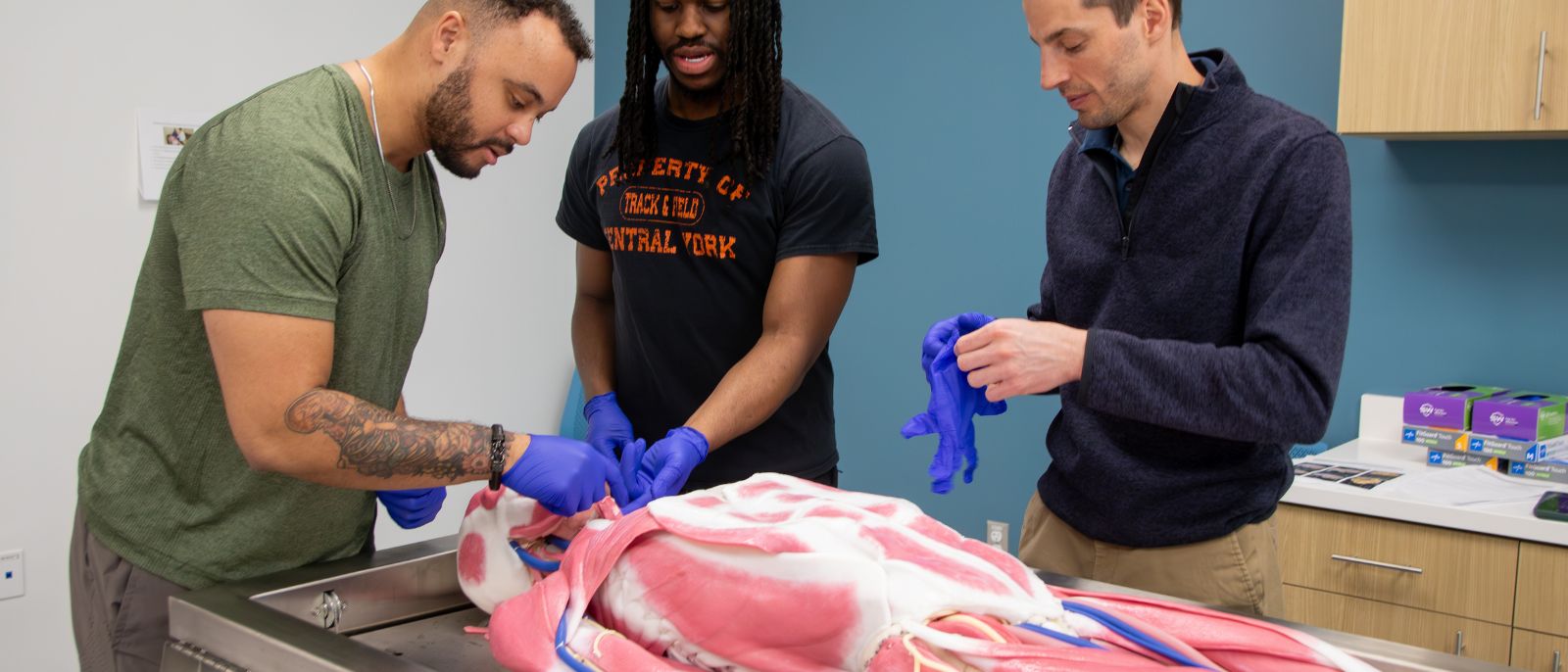 Doctor of Physical Therapy – Curriculum