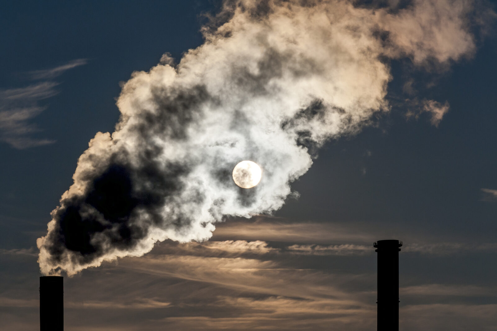fight pollution and climate change