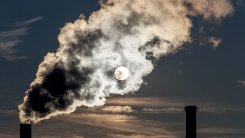 fight pollution and climate change