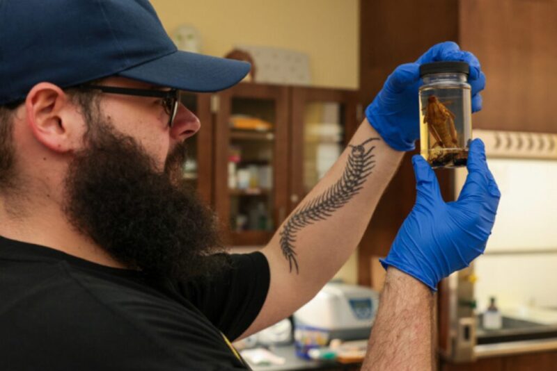 Forensic Science Bachelors Degree