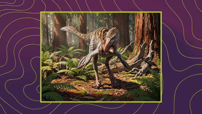 HU Professor Helps Name New Theropod Dinosaur from New Mexico