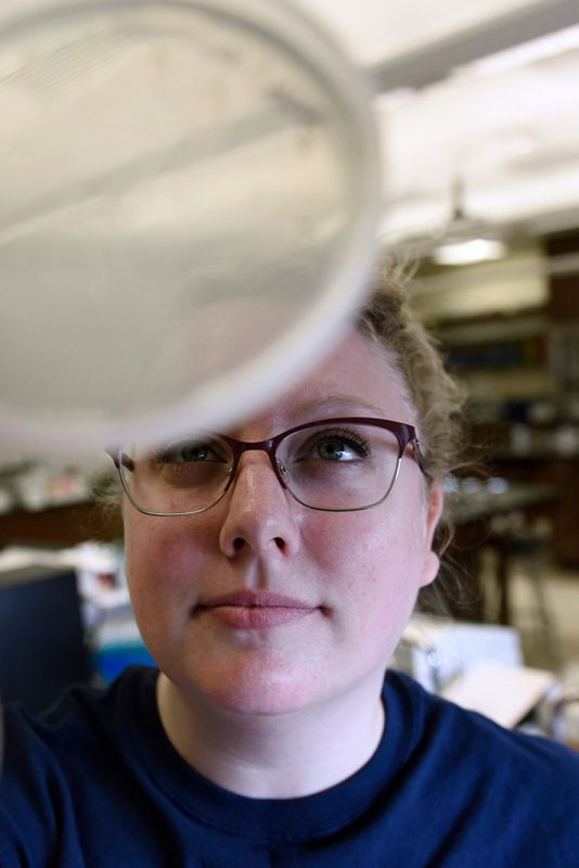 Student looking at petri dish