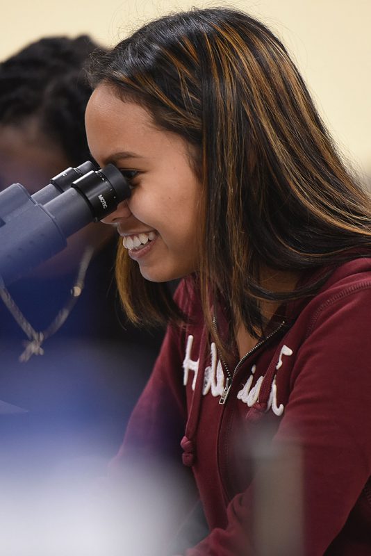a person looking through a microscope