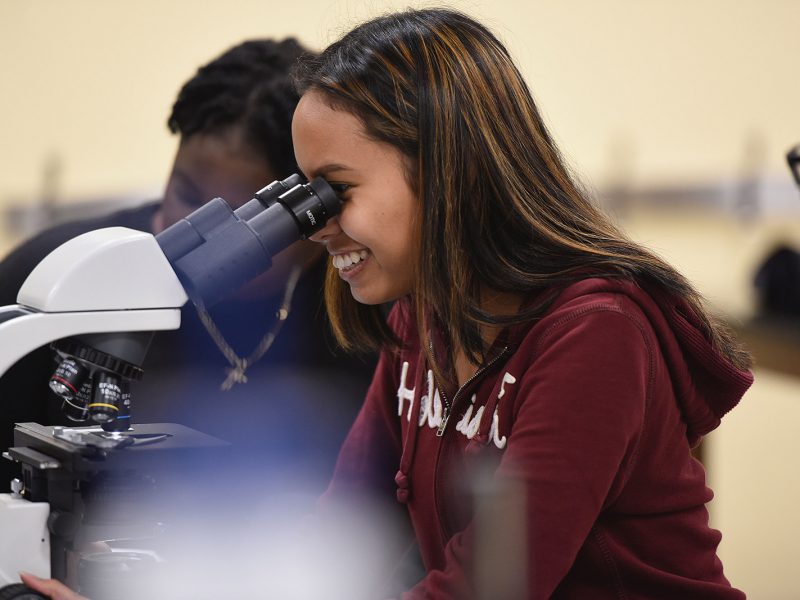 a person looking through a microscope