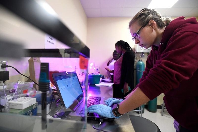 a person working on a computer