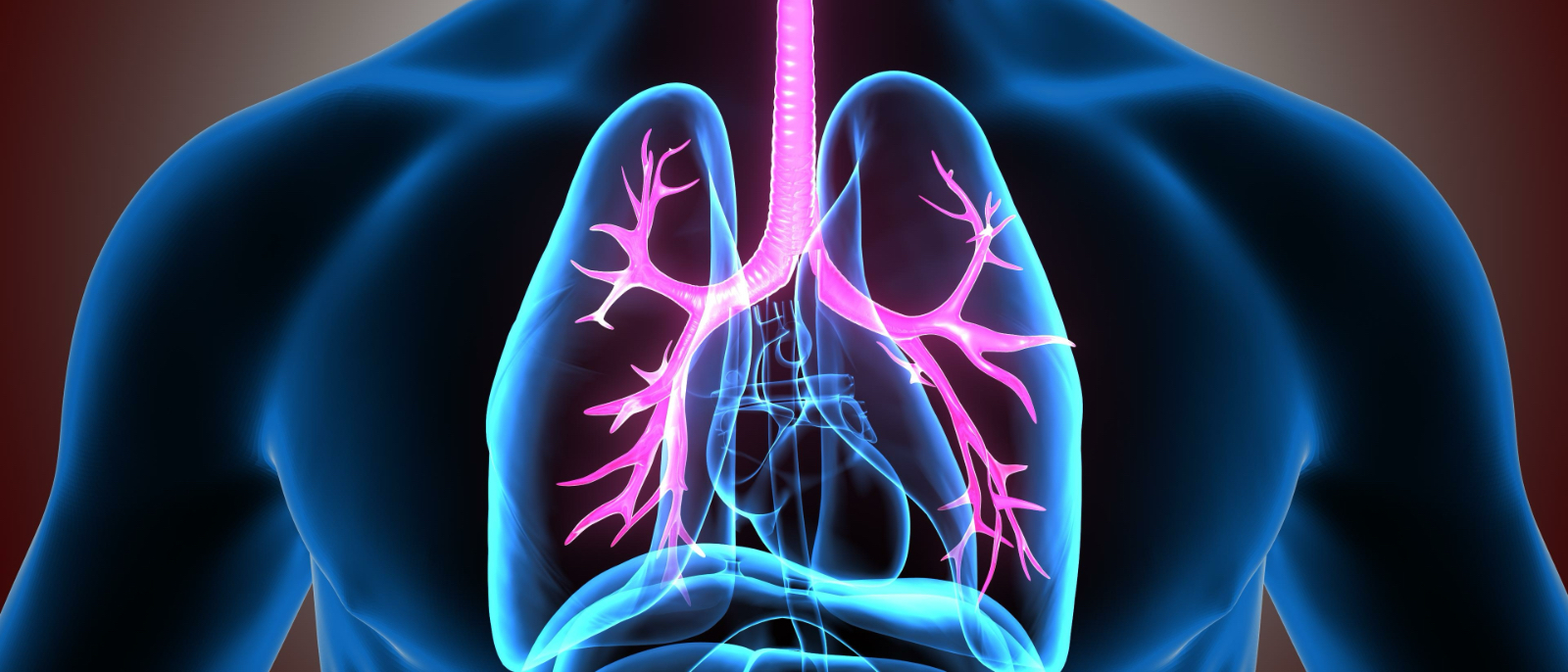 HU Researchers Help Advance AI-Powered Lung Cancer Detection Through Graph-Based Modeling