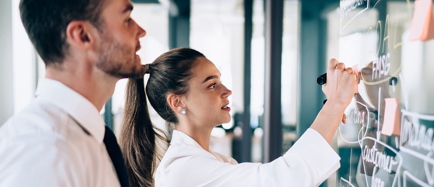 Online CAPM and PMP Certification Prep