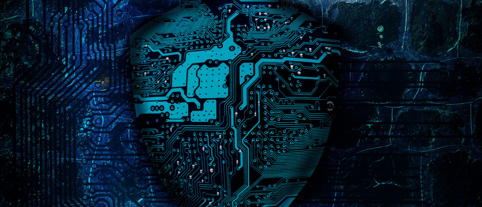 <span class="sub-title">Professional Development & Continuing Education</span>Information Security Officer Certificate Program