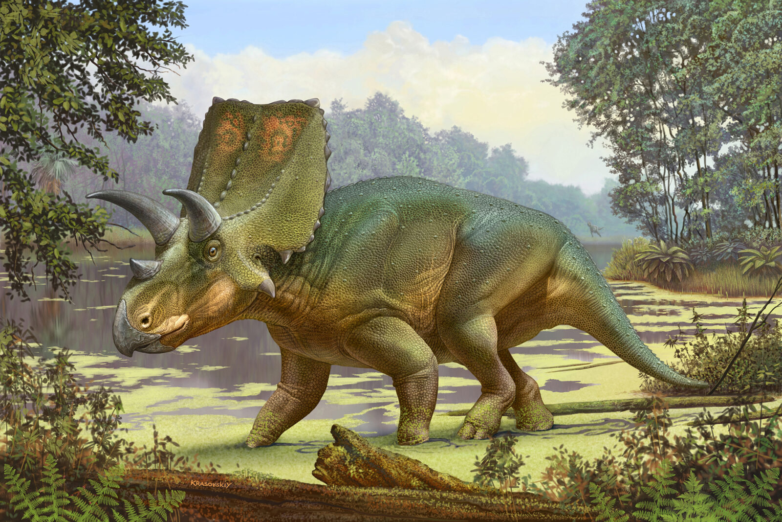 a diagram of a dinosaur