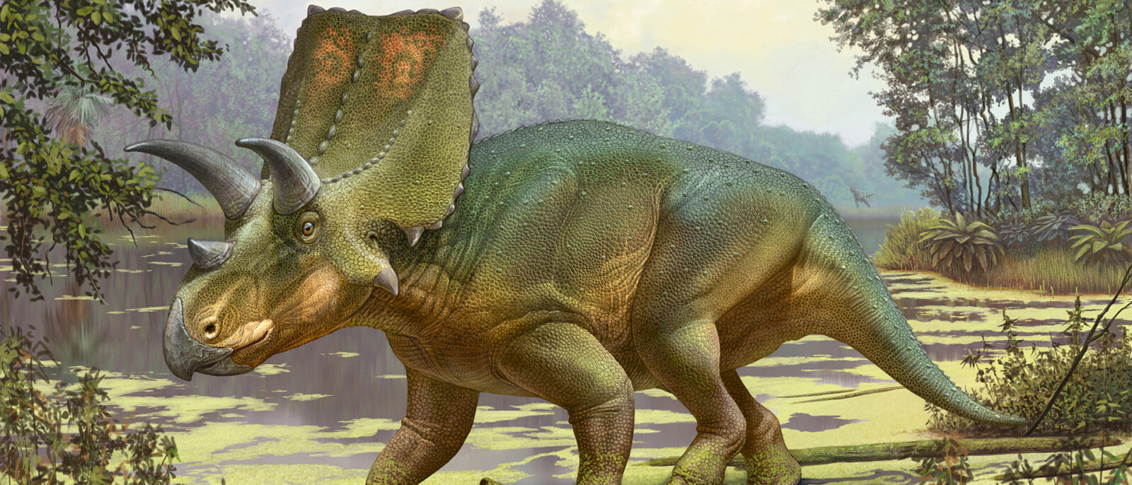 HU professor helps name, describe second horned dinosaur in last year