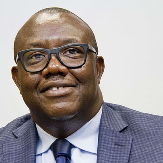Stephen Onu, Ph.D.