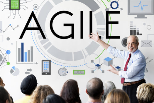 Agile Training