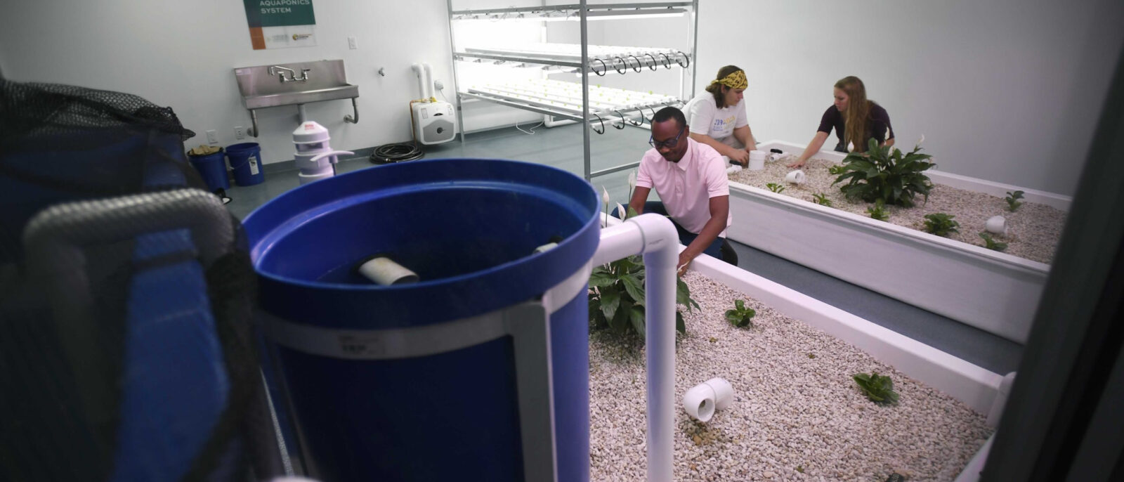 HU aquaponics technician, professor publish aquaponics research