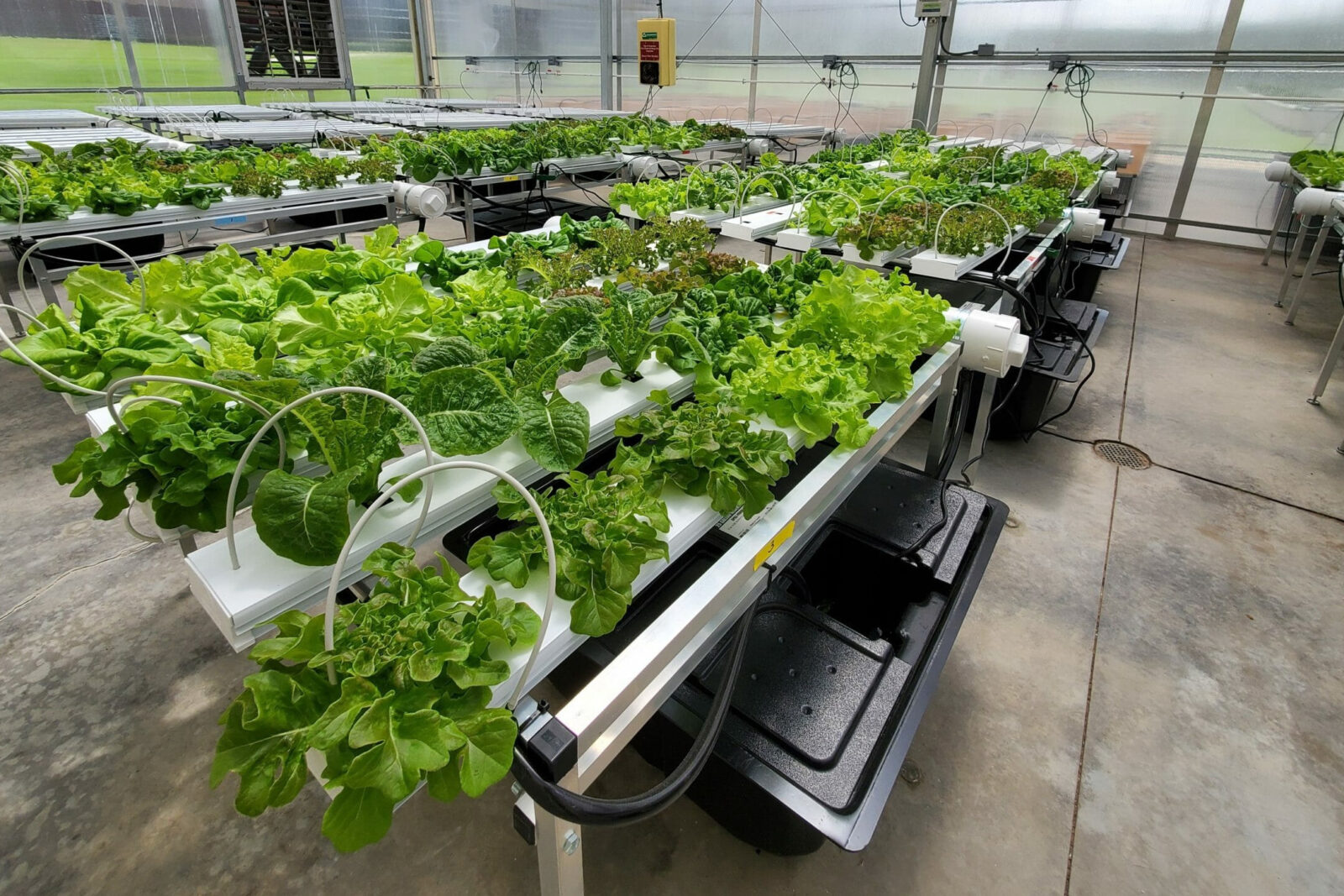 Controlled Environment Agriculture