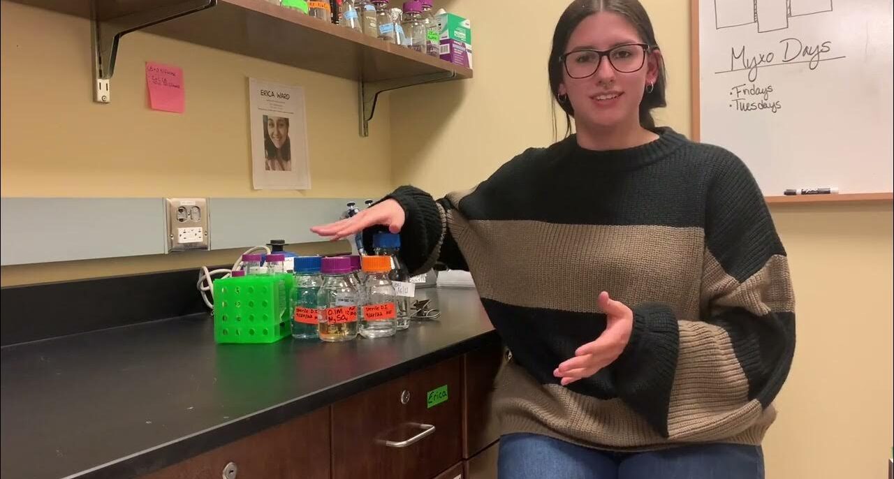 Biochemistry Student Mia Falcone Tackles Antibiotic Resistance in the Biophysics Lab