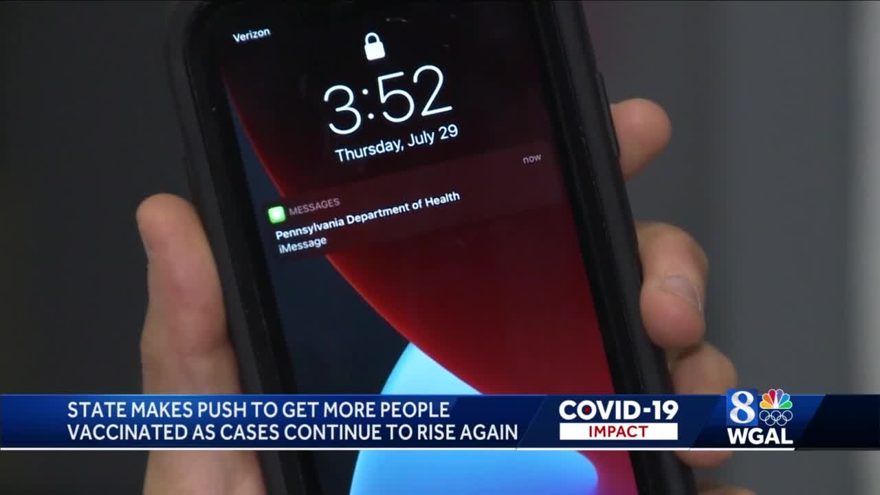 a hand holding a phone