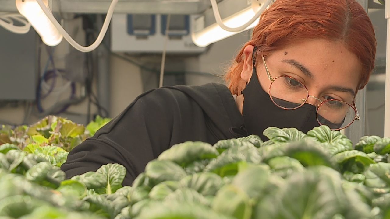 a person in a room with a bunch of plants