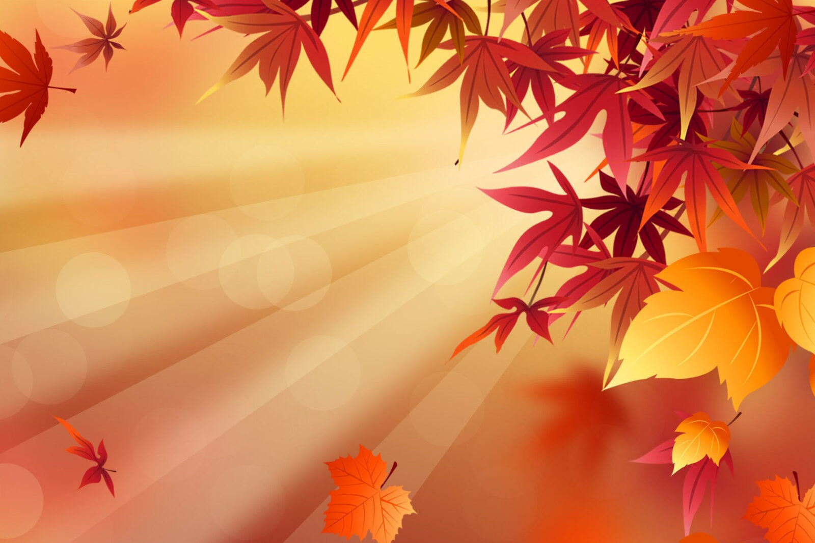 fall background