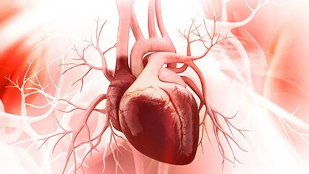 heart
