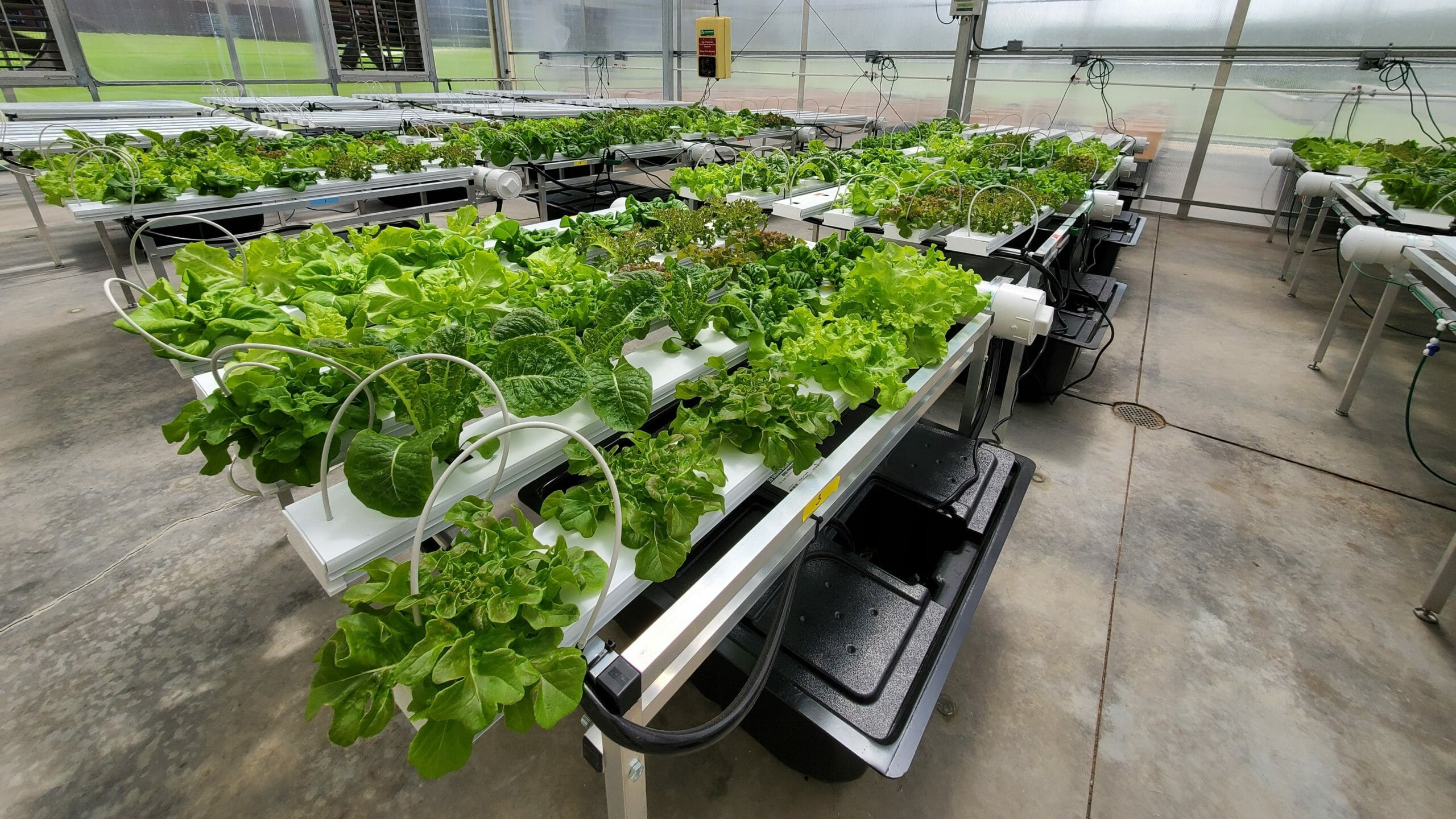 Labcorp Hydroponics Lab Agriculture Partnership to Sustain and Deepen Work in York County ...