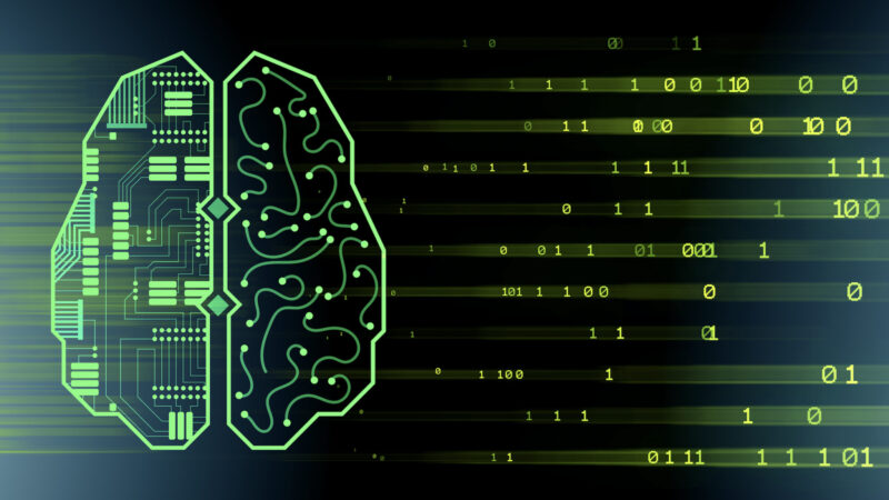 a screenshot of a brain