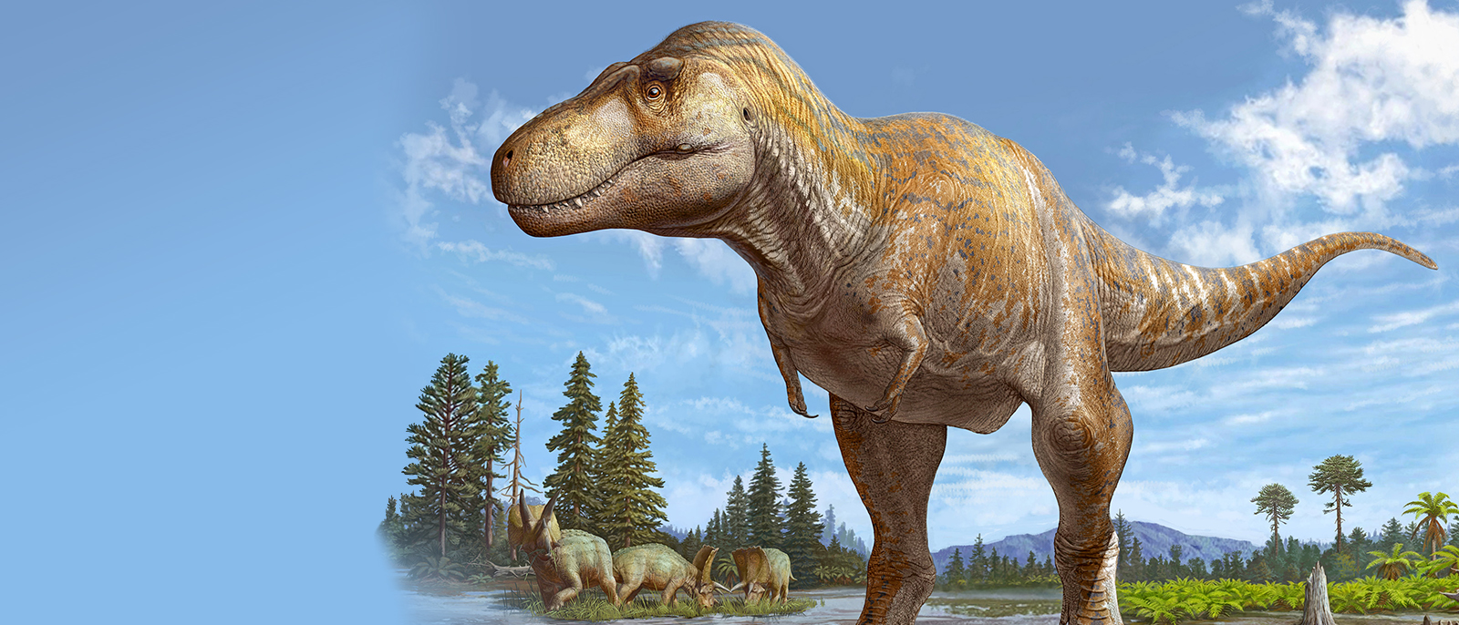HU&rsquo;s Dr. Jasinski and Team Unveil New Tyrannosaurid Species