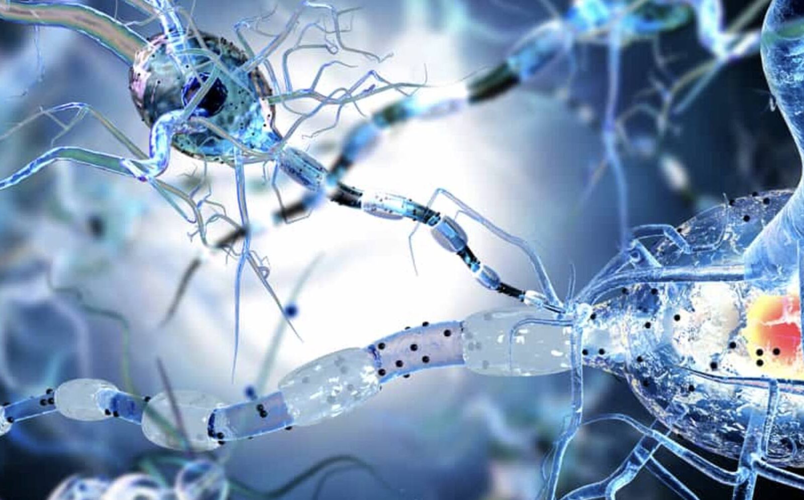 Nanobiotechnology