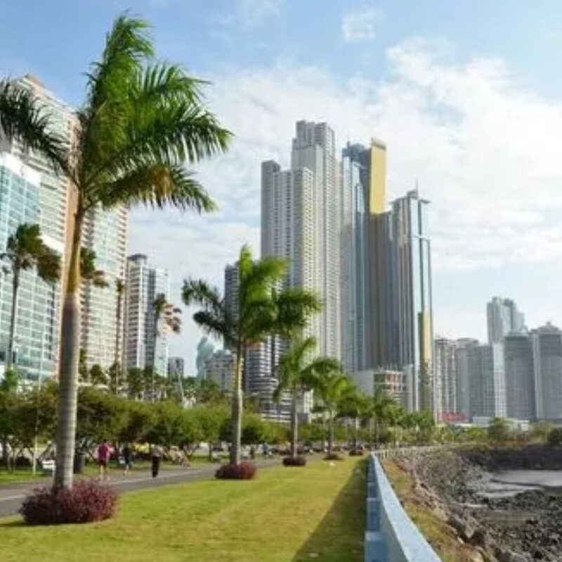 a park with palm trees and tall buildings in the background