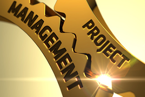 project management