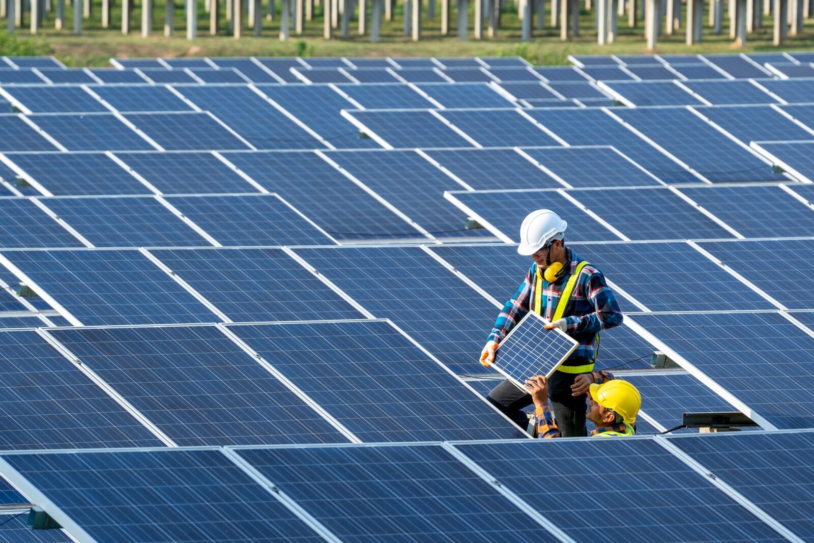 solar panels